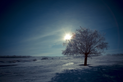 Seasonal Affective Disorder