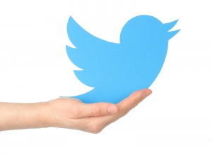 Customer Service Tweets Are Worth the Hassle, Survey Finds