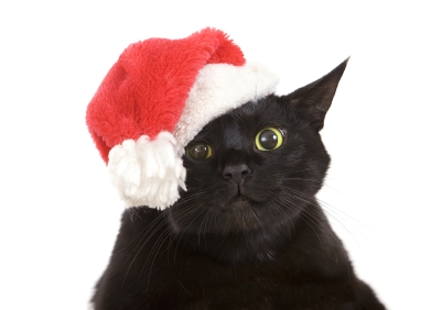 Preparing Your Digital Marketing for Christmas