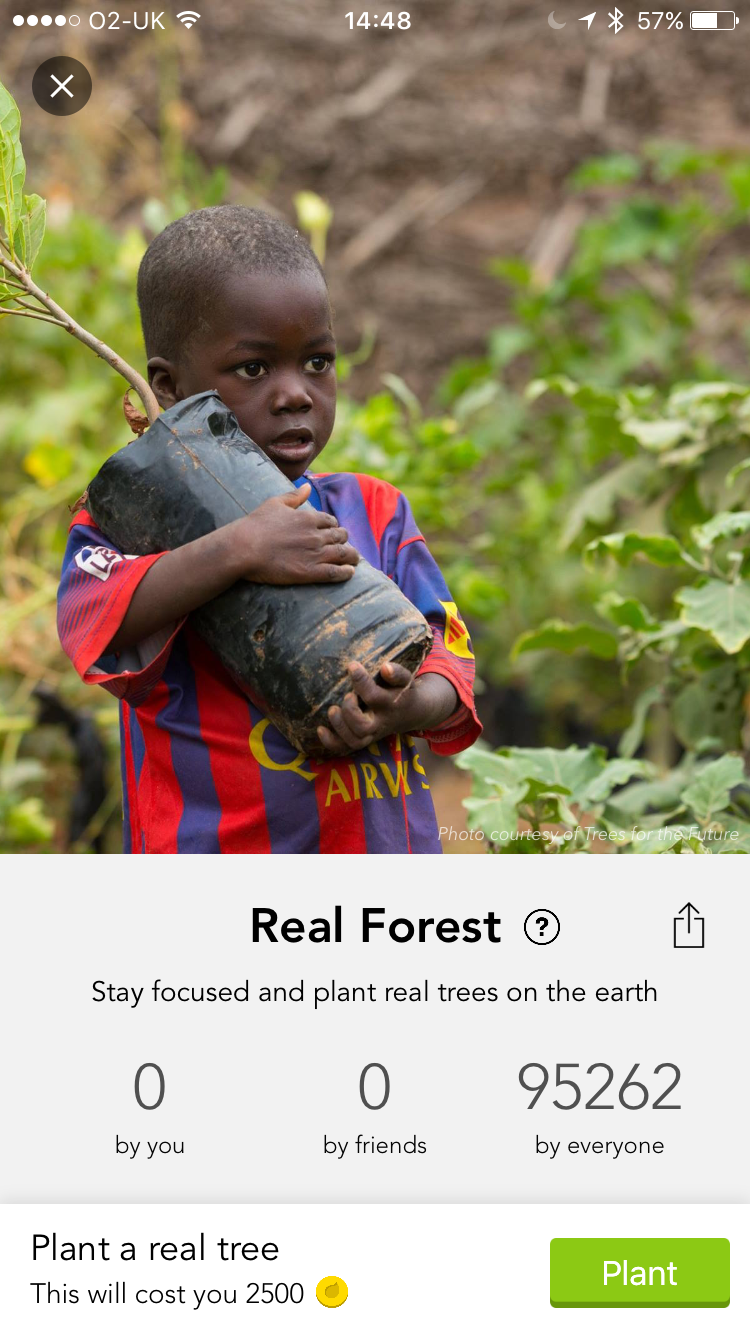 Forest Plant Trees