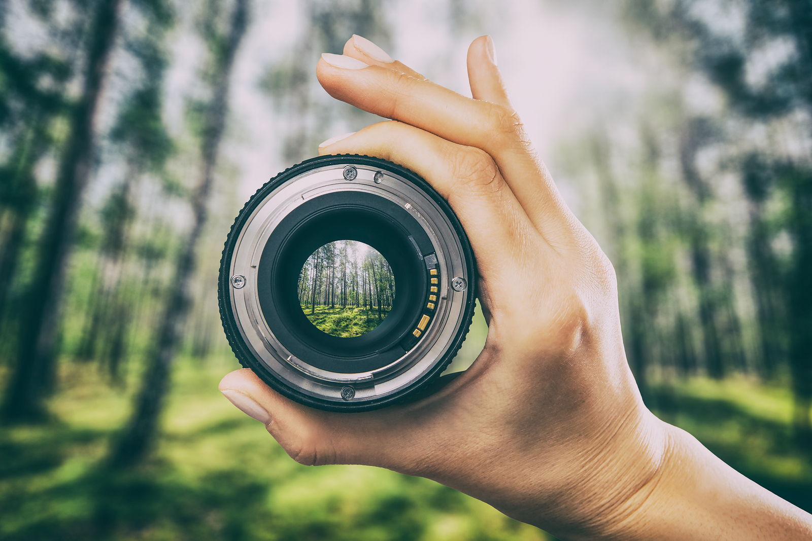 A Guide to Correctly Crediting Images Online