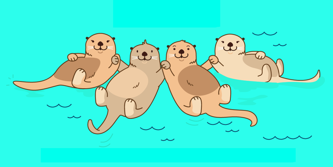 Raftr