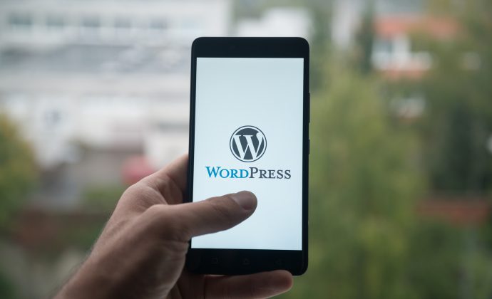 Why WordPress Is a Great Option for Your Business Website