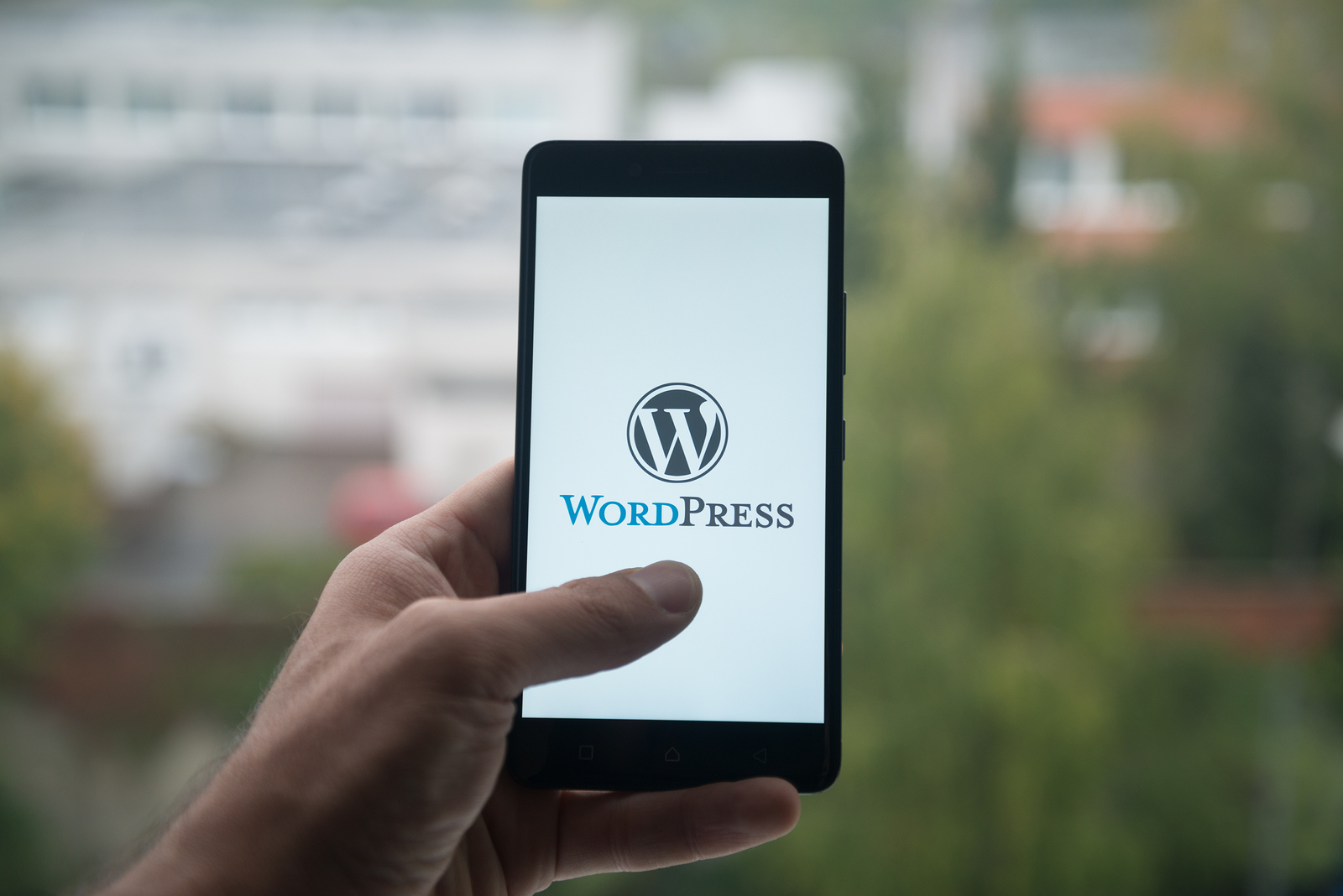Why WordPress Is a Great Option for Your Business Website