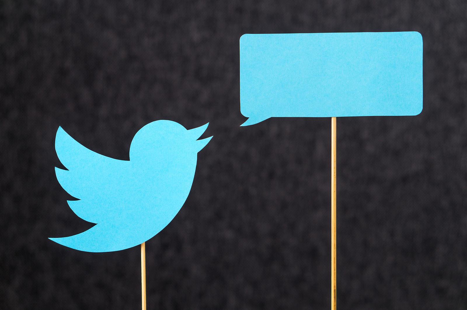 What do Twitter’s New Rules Mean For You