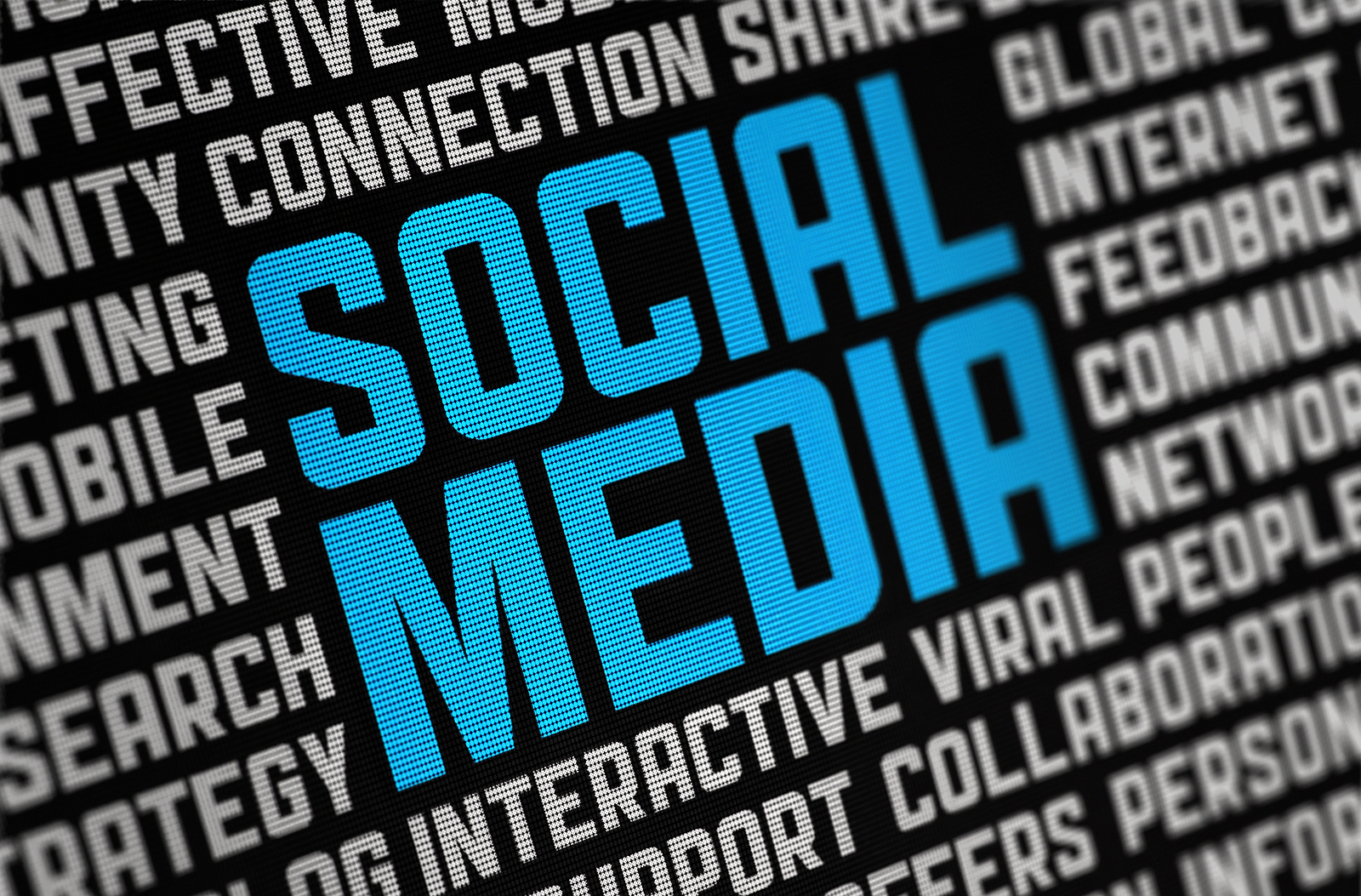 Why You Should Grow Your Business on Social Media