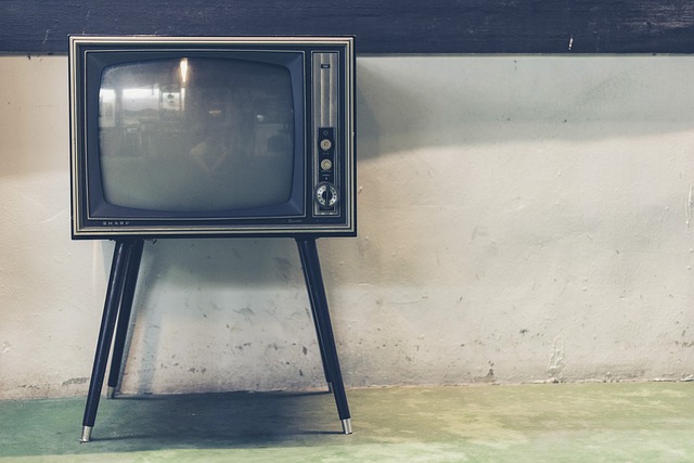 This Month’s Binge Watching Greatest Hits in the Team Organic Office